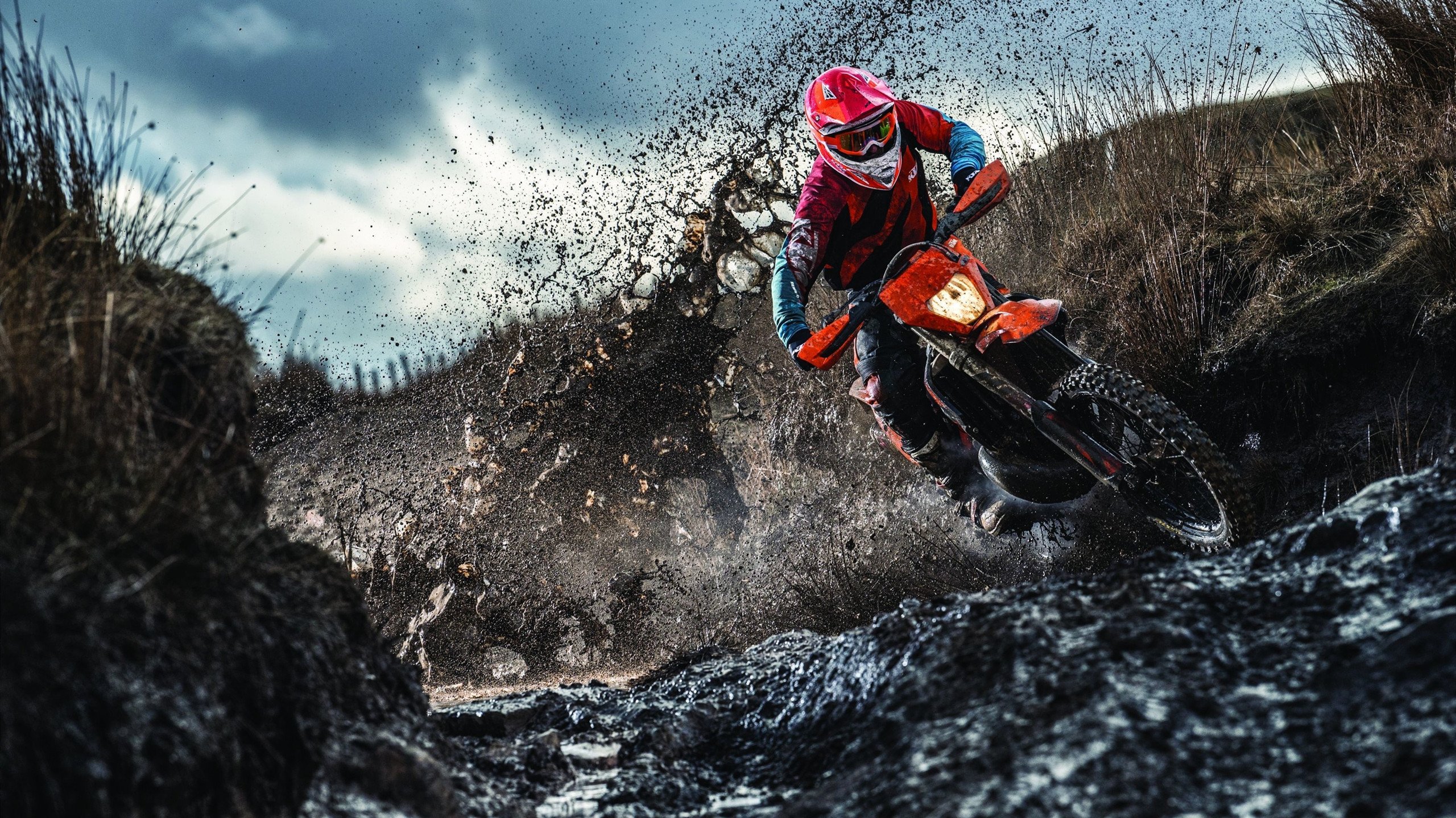 辽宁队冲刺季后赛，“逆转王者”崭露头角！