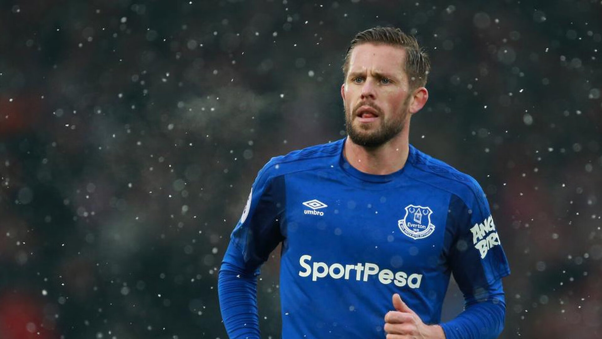 球员赛季数据全面刷新,过往赛季球员